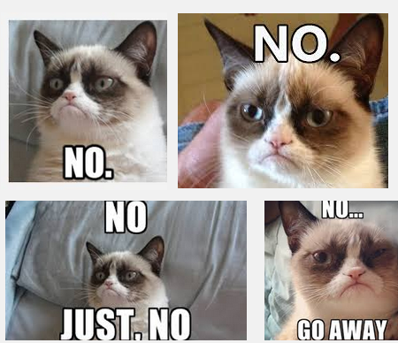 Thank you Grumpy Cat + Google images