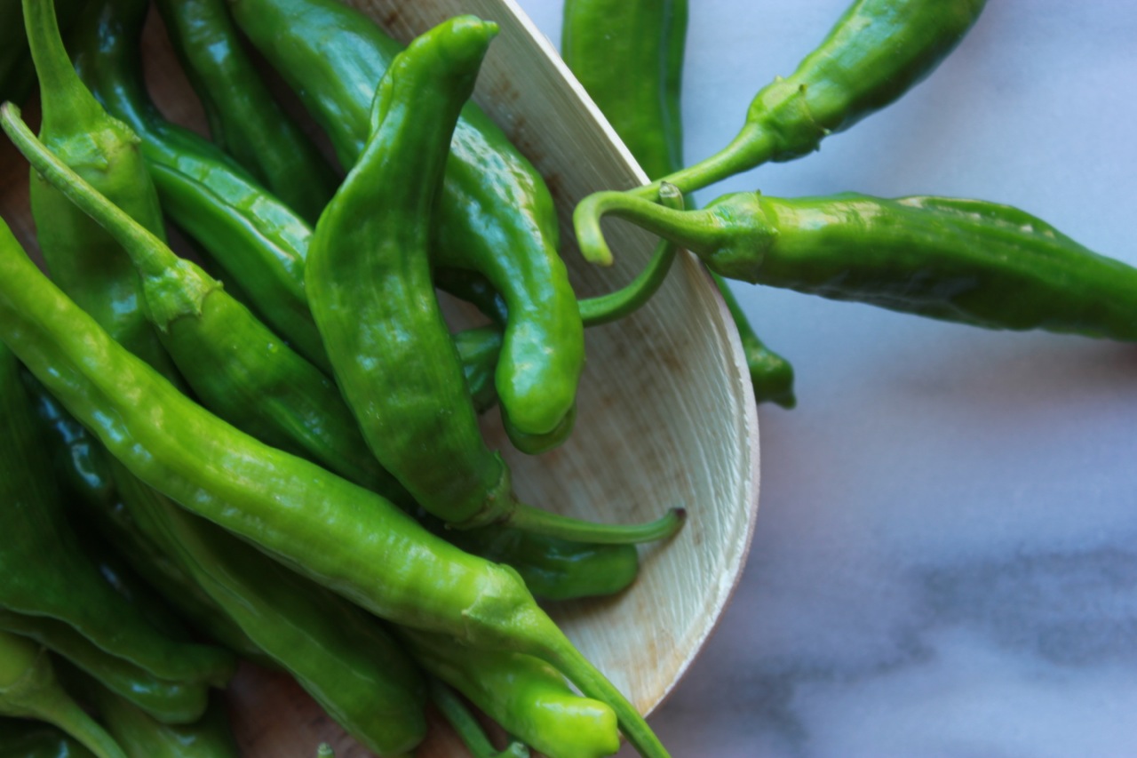 Plated in eco-friendly compostable bamboo plates from Provisions Food52