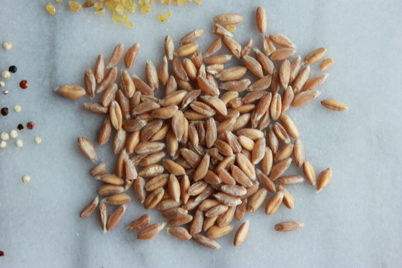 Emmer Farro
