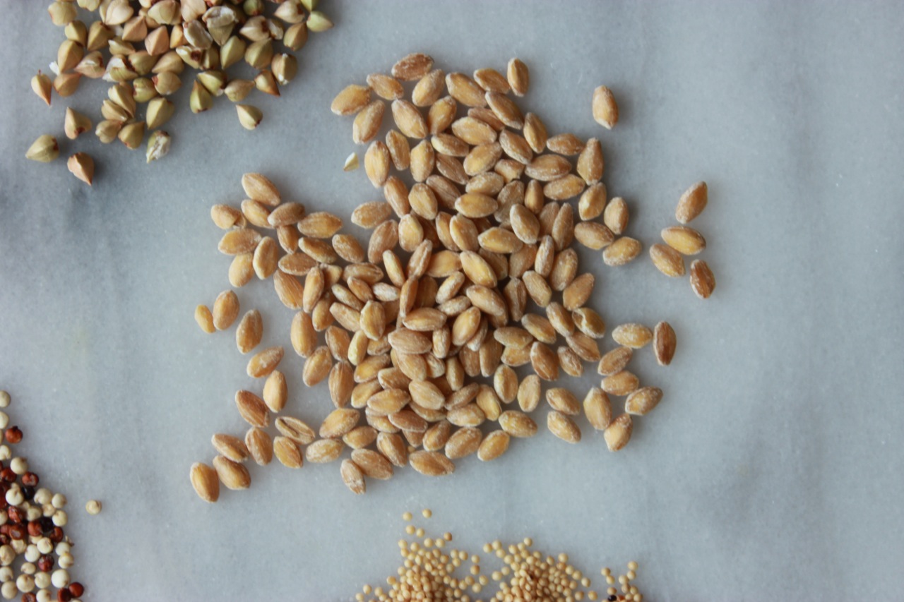 EInkorn berries