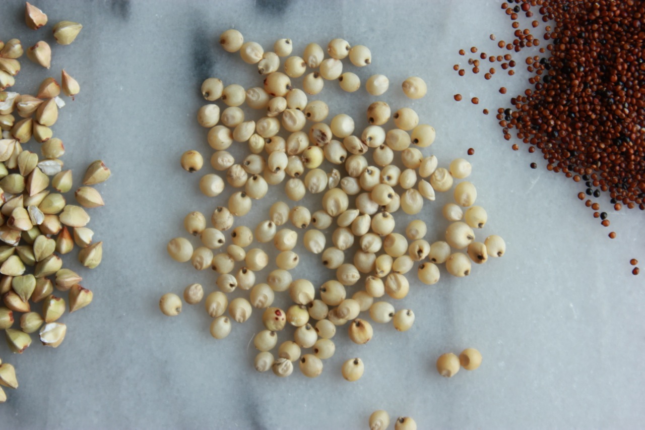Sorghum. Looks like little unpopped corn kernels, no?