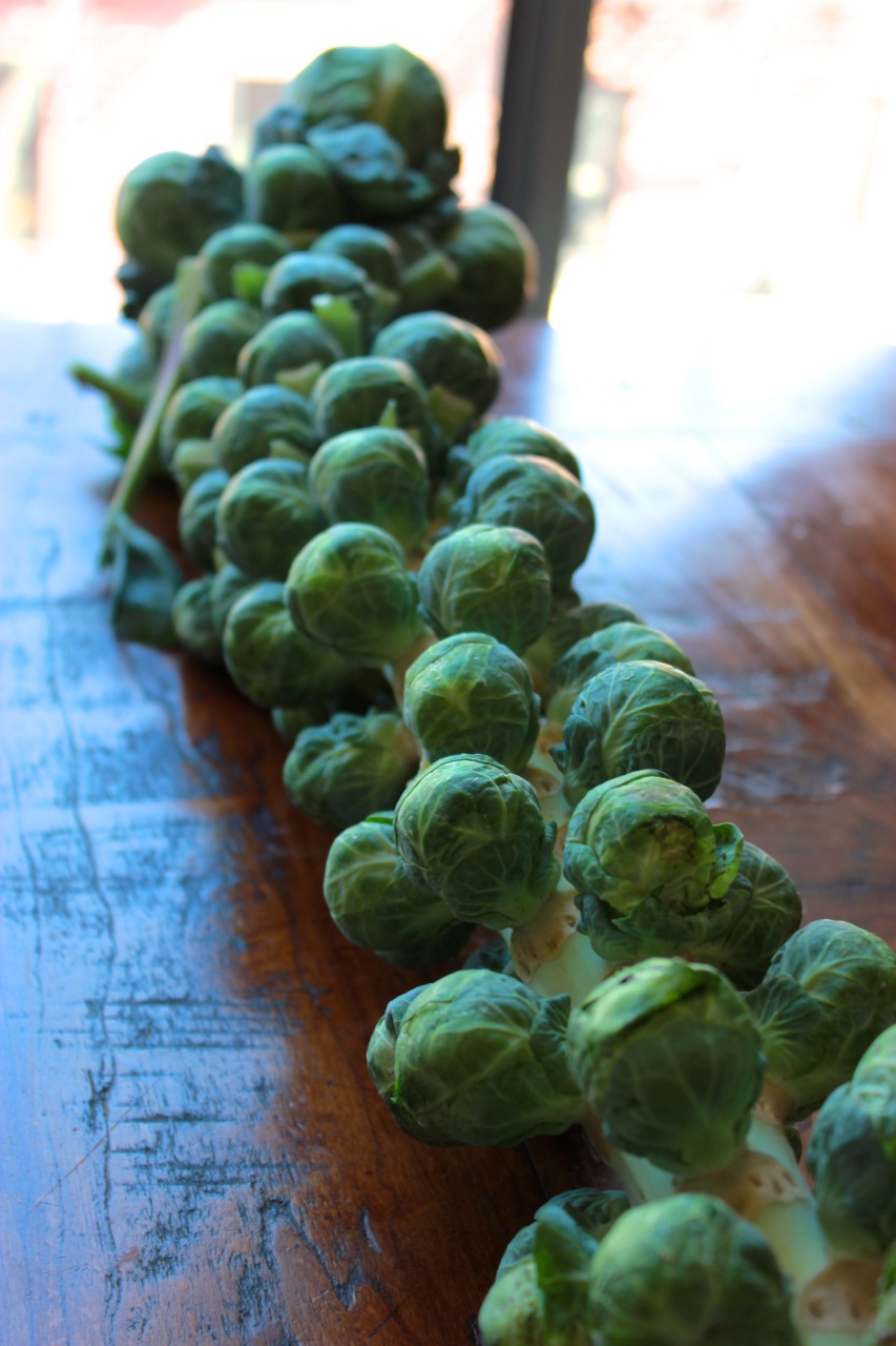 Classic Roasted Brussel Sprouts | Living Minnaly01.jpg