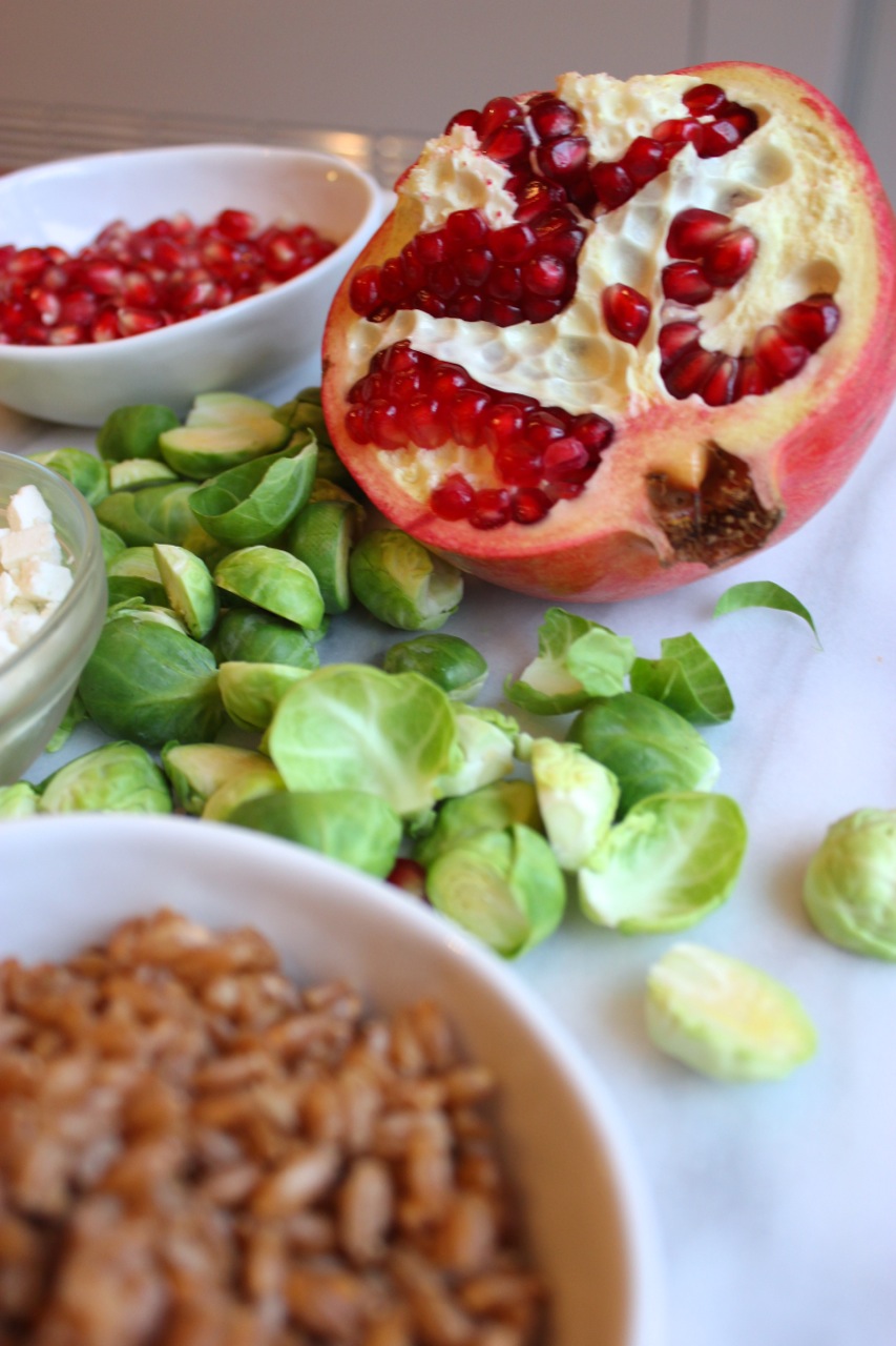 Roasted Brussel Sprouts w:Pomegranate, Feta, and Farro | Living Minnaly08.jpg