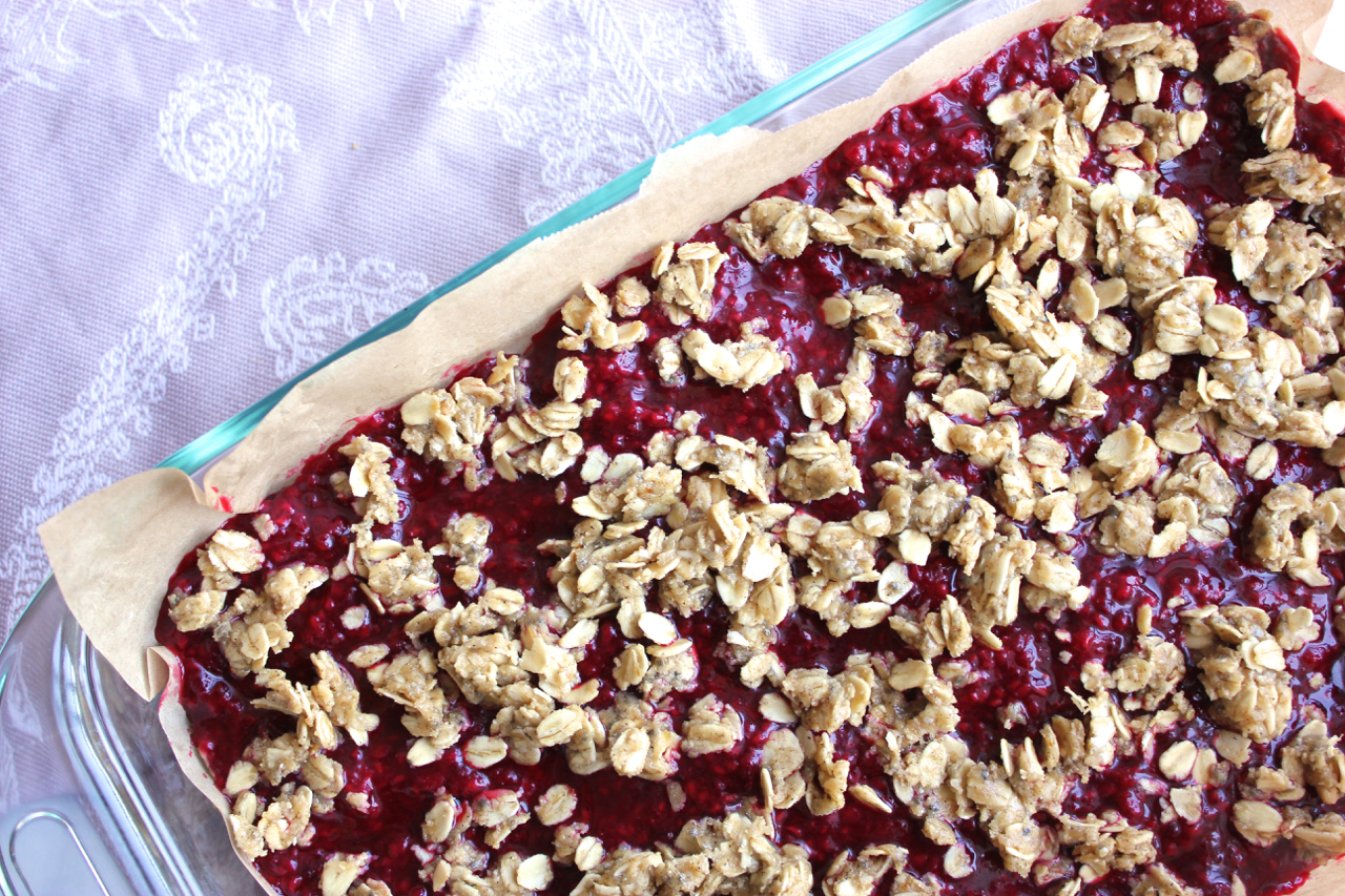 Raspberry Jam & Oats Breakfast Bars (Gluten Free) | Living Minnaly08.jpg