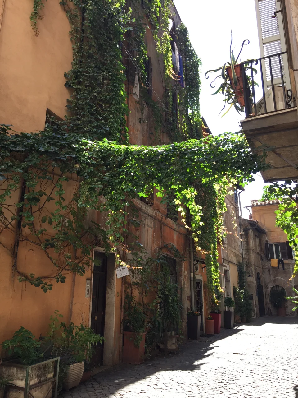 Romance of Rome | Living Minnaly34.jpg