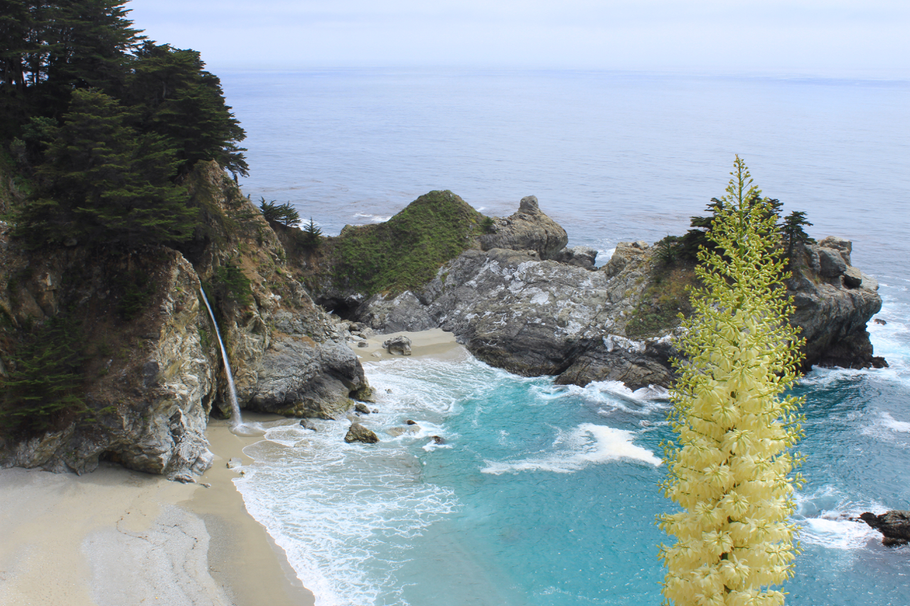 McWay Falls