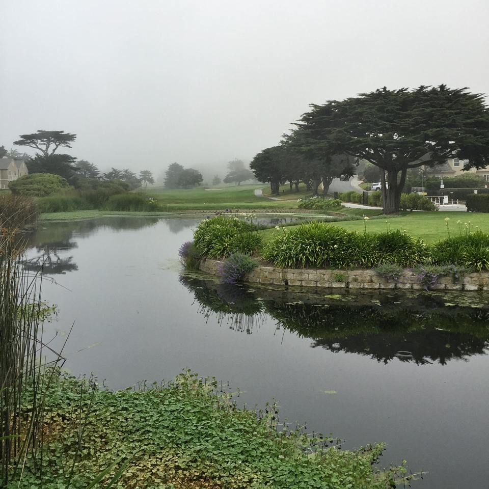 Ritz Carlton Half Moon Bay | Living Minnaly02.jpg