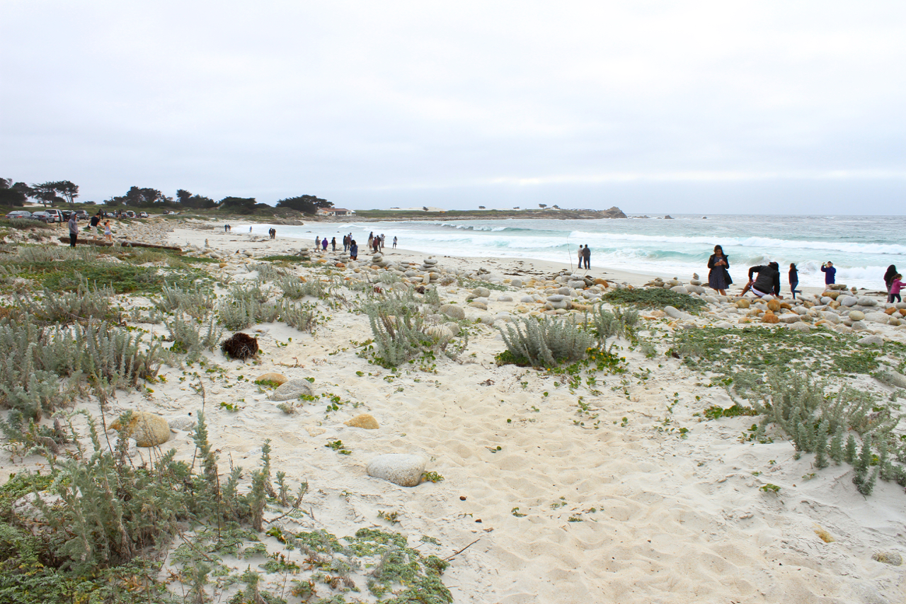 Carmel + Monterey Guide | Living Minnaly32.jpg