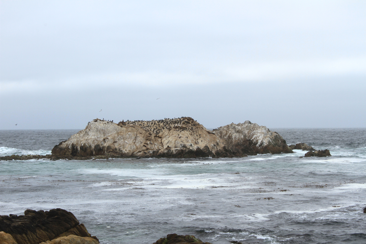Carmel + Monterey Guide | Living Minnaly39.jpg