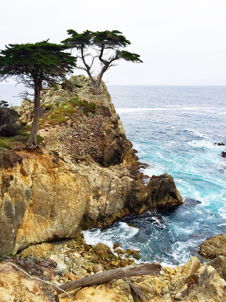 Carmel + Monterey Guide | Living Minnaly40.jpg