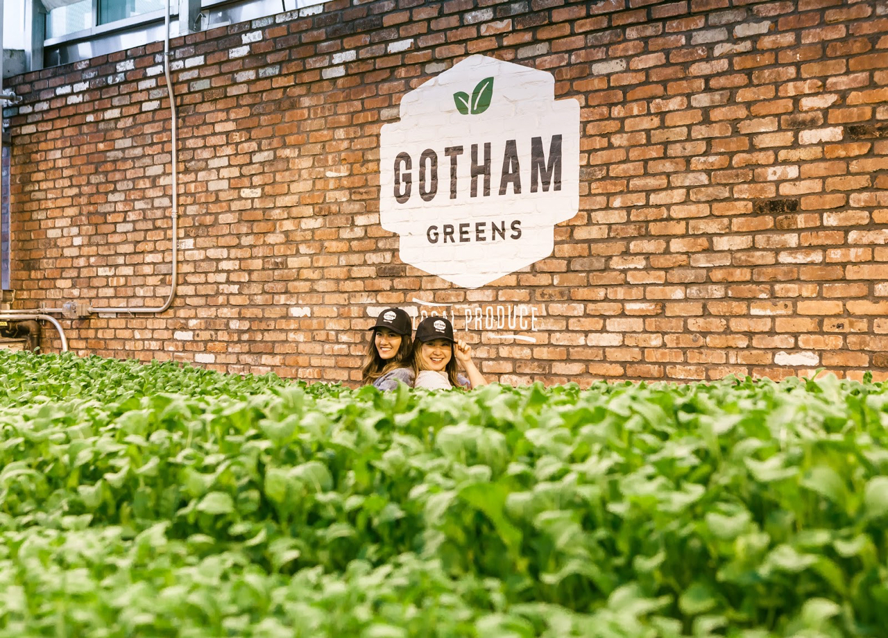 Best Futuristic Source of Local Fresh Greens: Gotham Greens