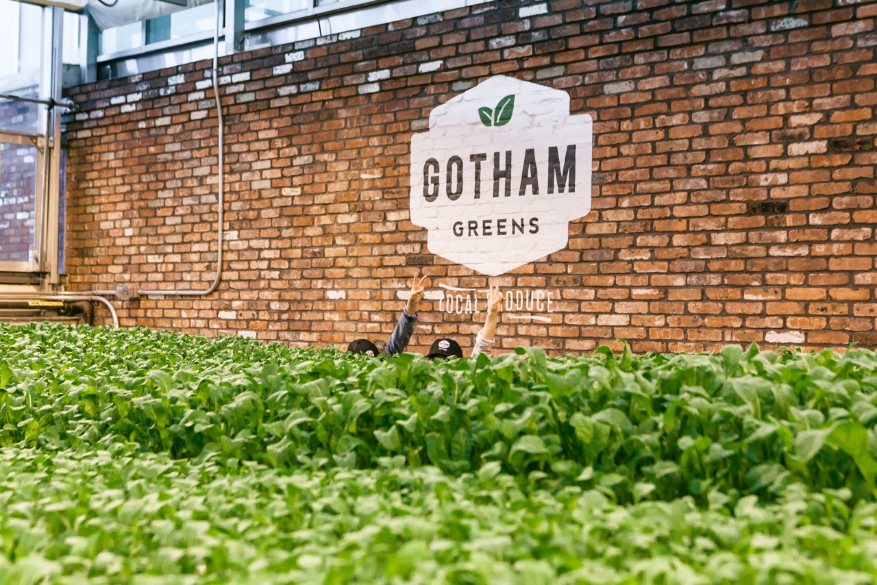 Why I Eat Local + Urban Farming with Gotham Greens | Living Minnaly - 18.jpg