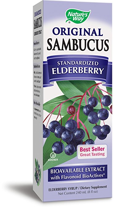 Elderberry Syrup (for Zinc + Immunity)