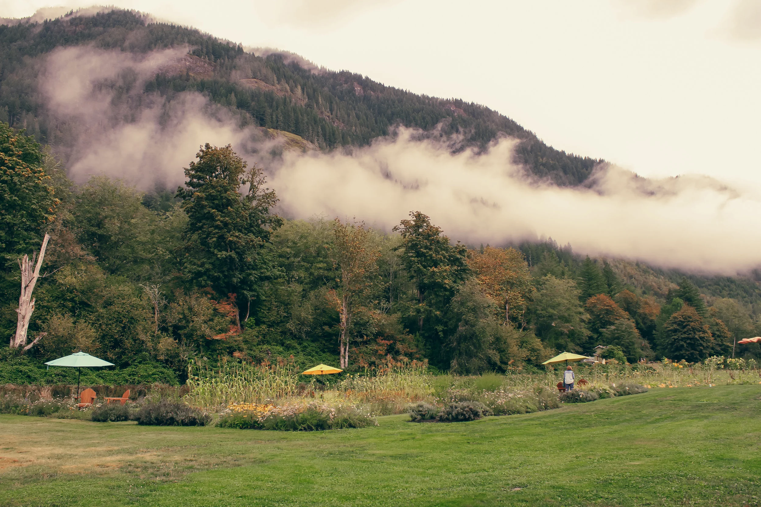 Cascadian Farm x Living Minnay __17.jpg