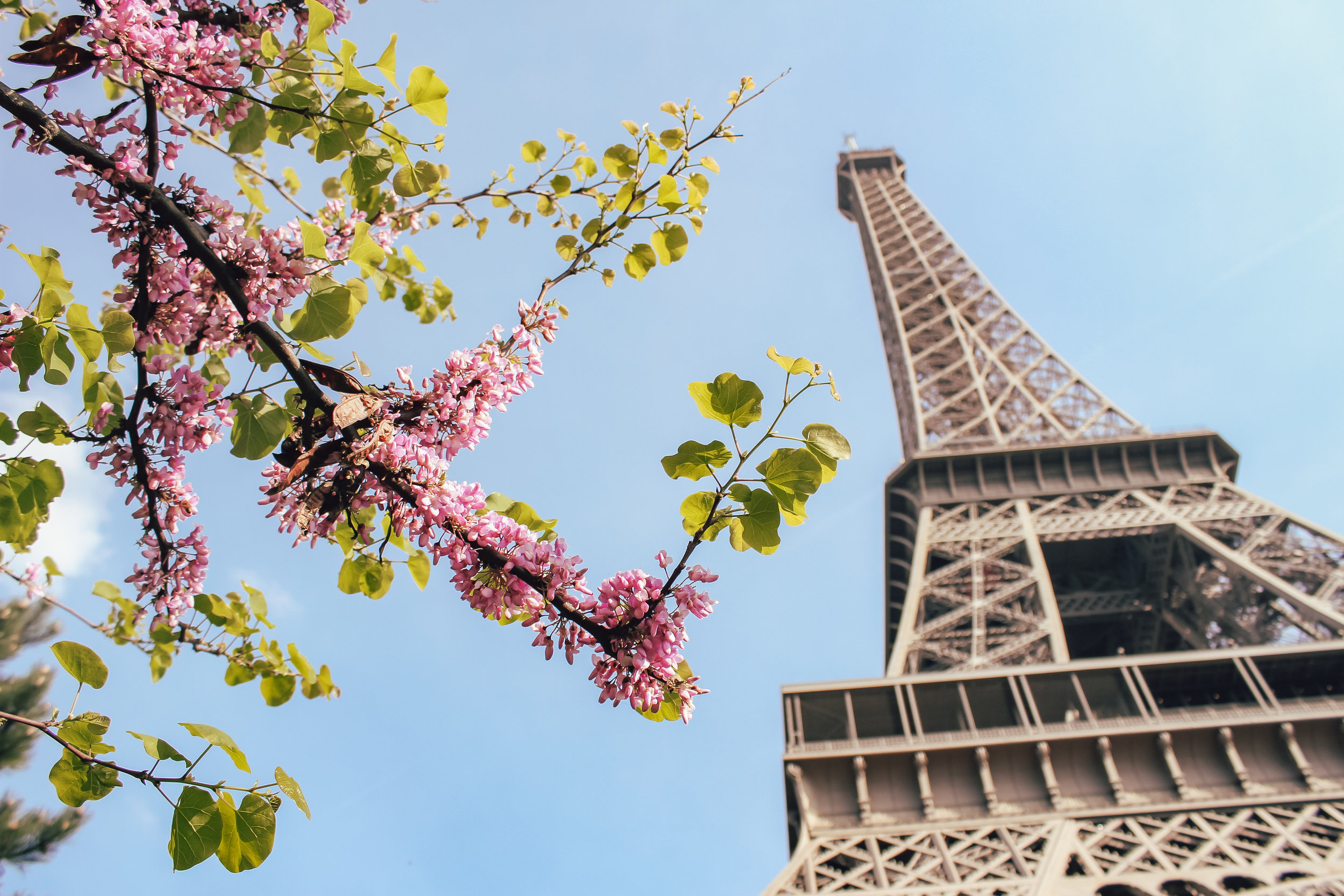 Minna's Guide to Paris- Best Things to Do, Eat, and See in Paris | Living Minnaly_44.jpg
