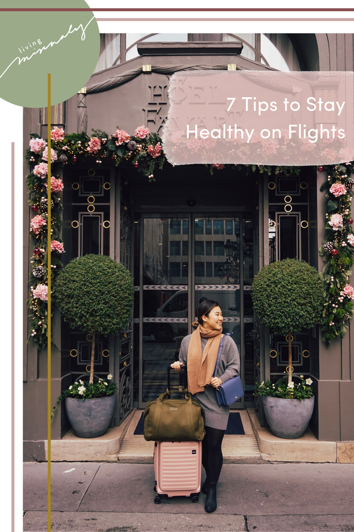 7 Tips to keep healthy on flights | Living Minnaly