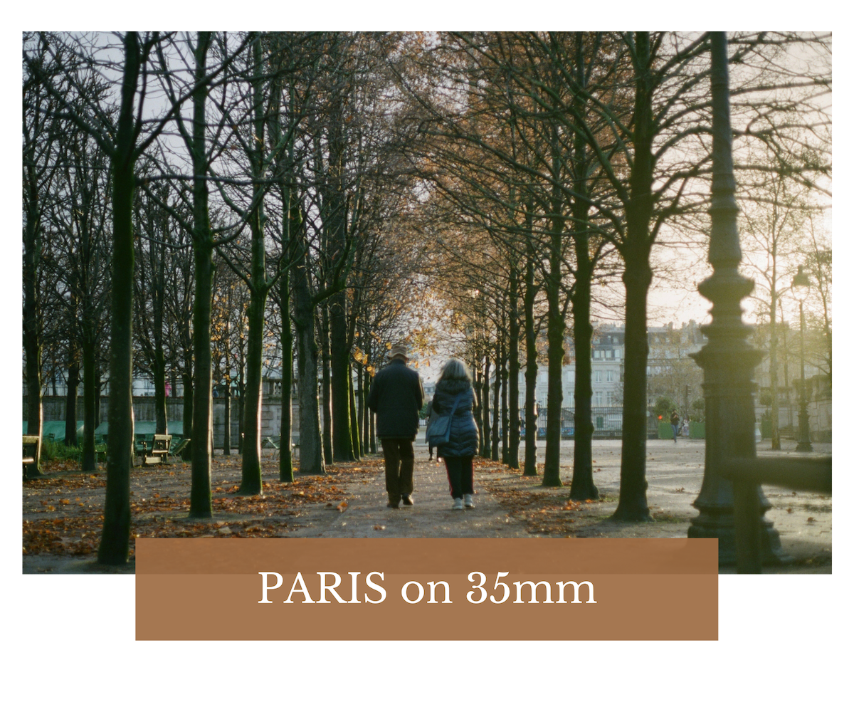 Film Photography by Minna Lee | FOLDERS__5.png