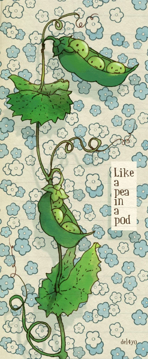 peas02.jpg