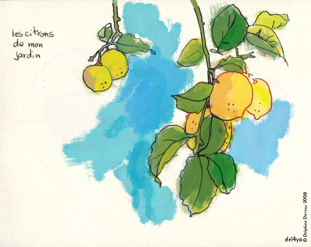 lemon029.jpg