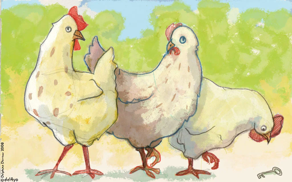 poule_035.jpg