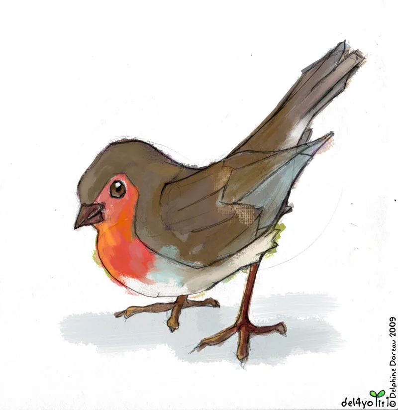 sparrow03.jpg