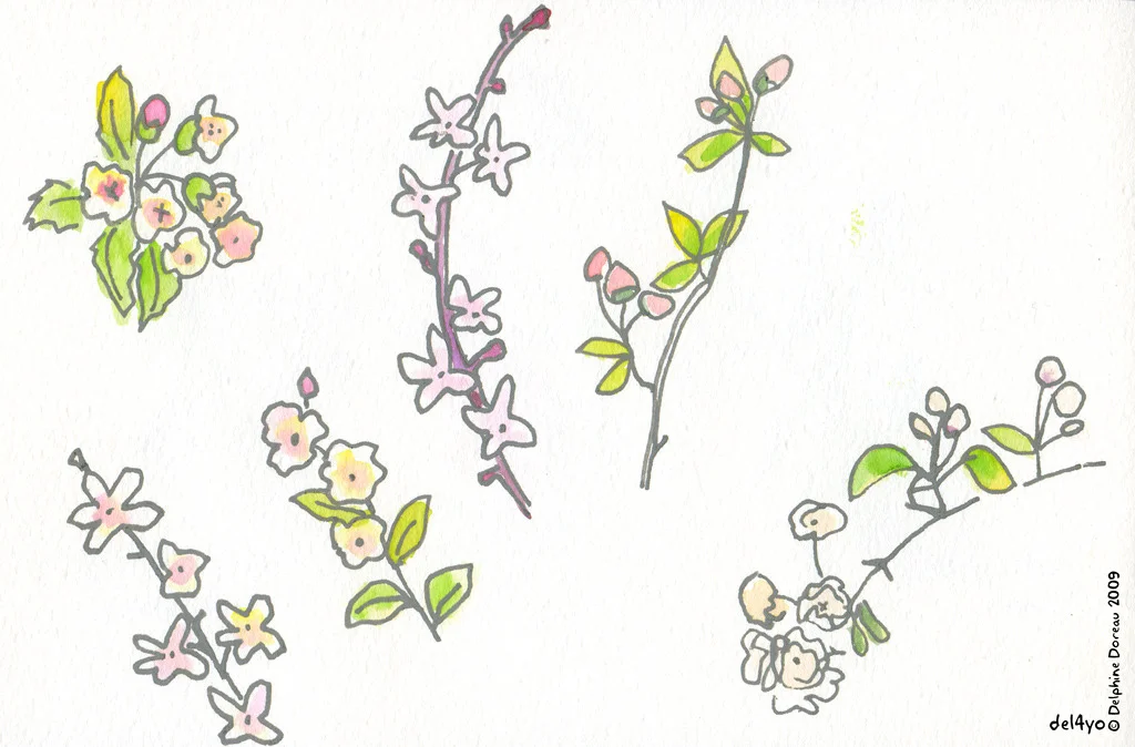 bouquet.jpg