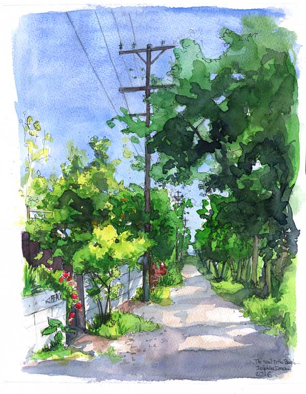 The trail on top of the hill