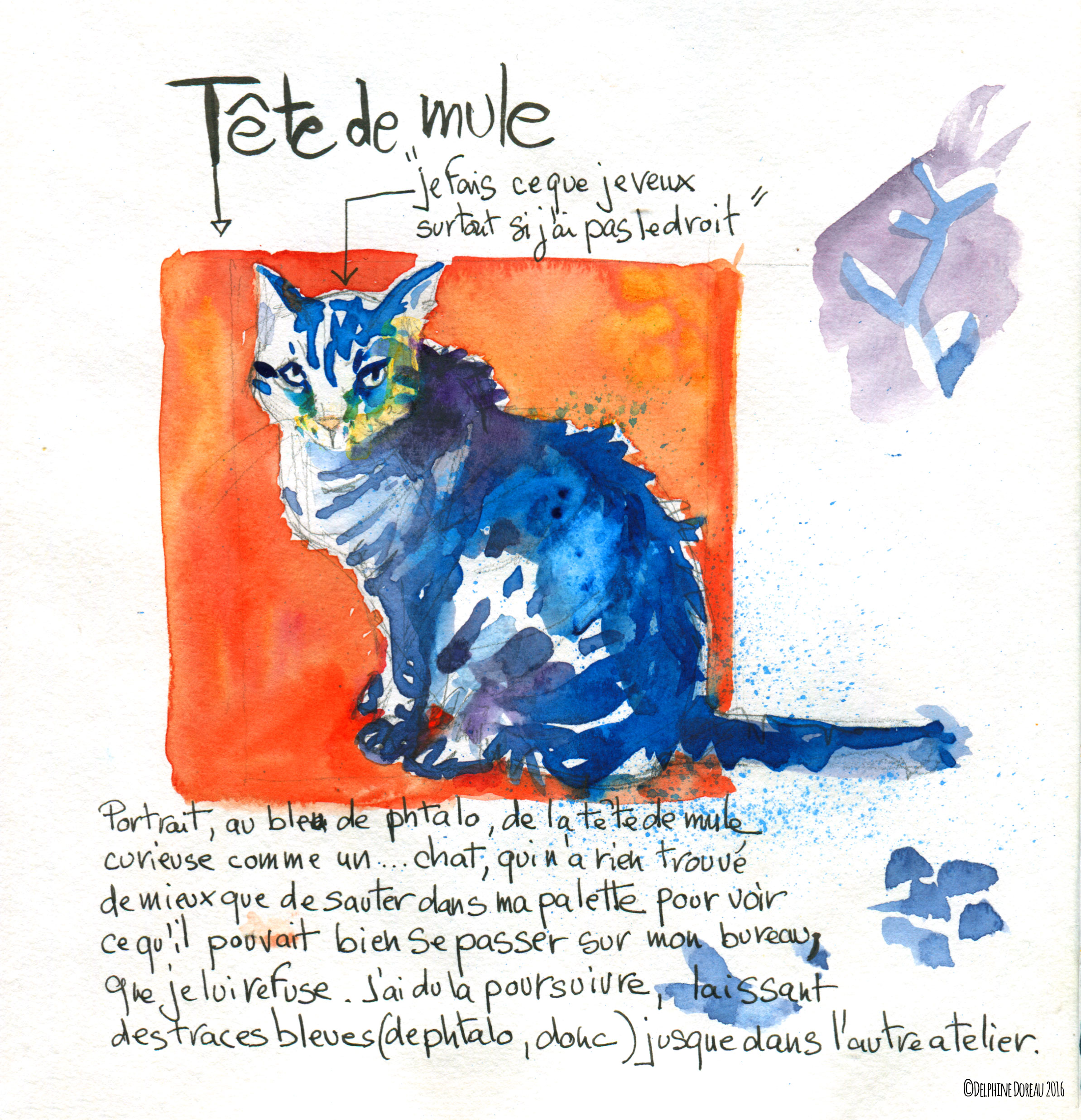 Chat bleu