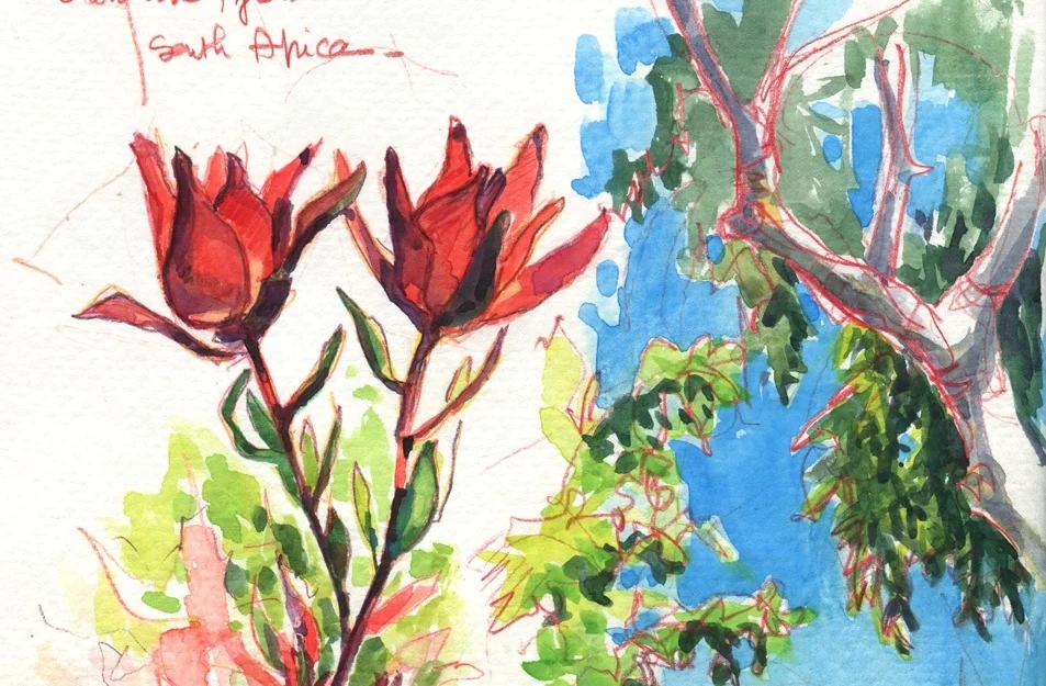How to scan a watercolor