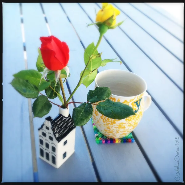 Carte postale doudou