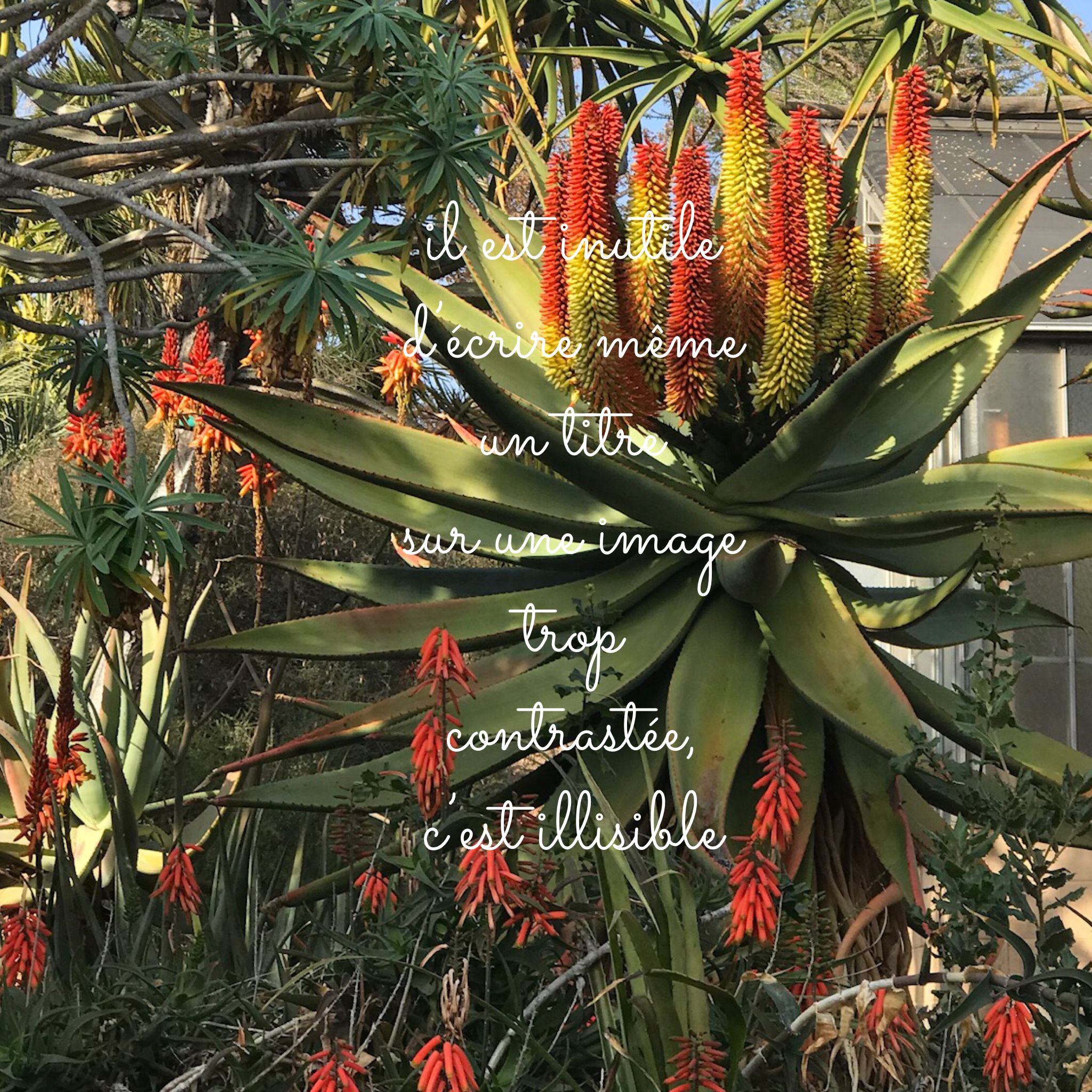 Blogging for an adult public (not what you think)