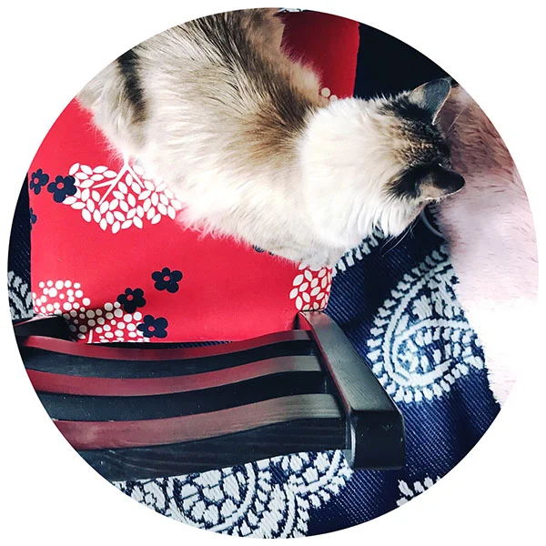 La déco momoche, ou comment remettre le temps à la mode.