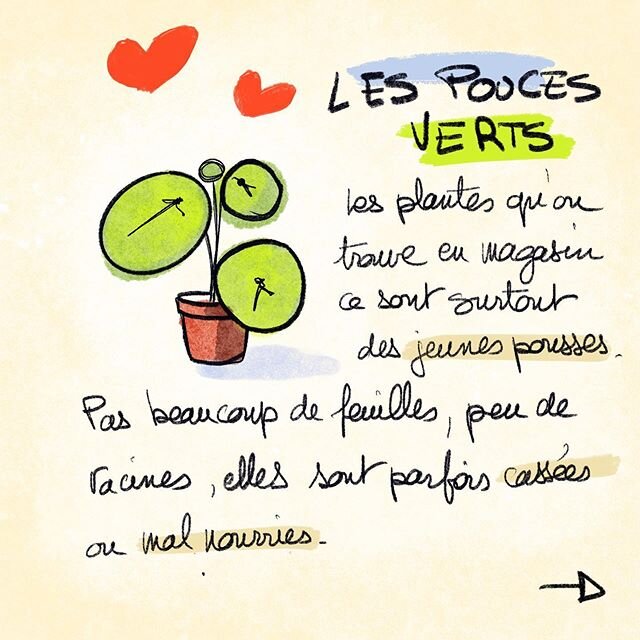 Les pouces verts &ccedil;a n&rsquo;existe pas. Il faut juste faire attention, je vous ai &eacute;crit un petit guide pour &ccedil;a. Une fois qu&rsquo;on sait c&rsquo;est super facile. Ne laissez plus mourir vos plantes, faites les grandir plut&ocirc