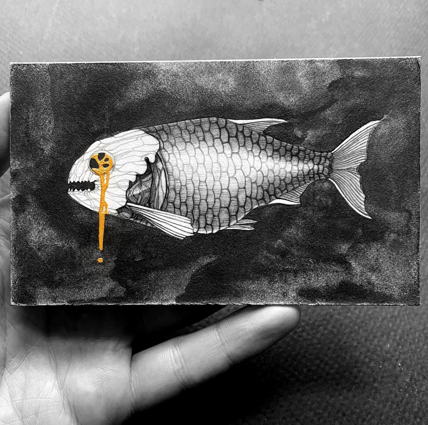 fish1u.jpg