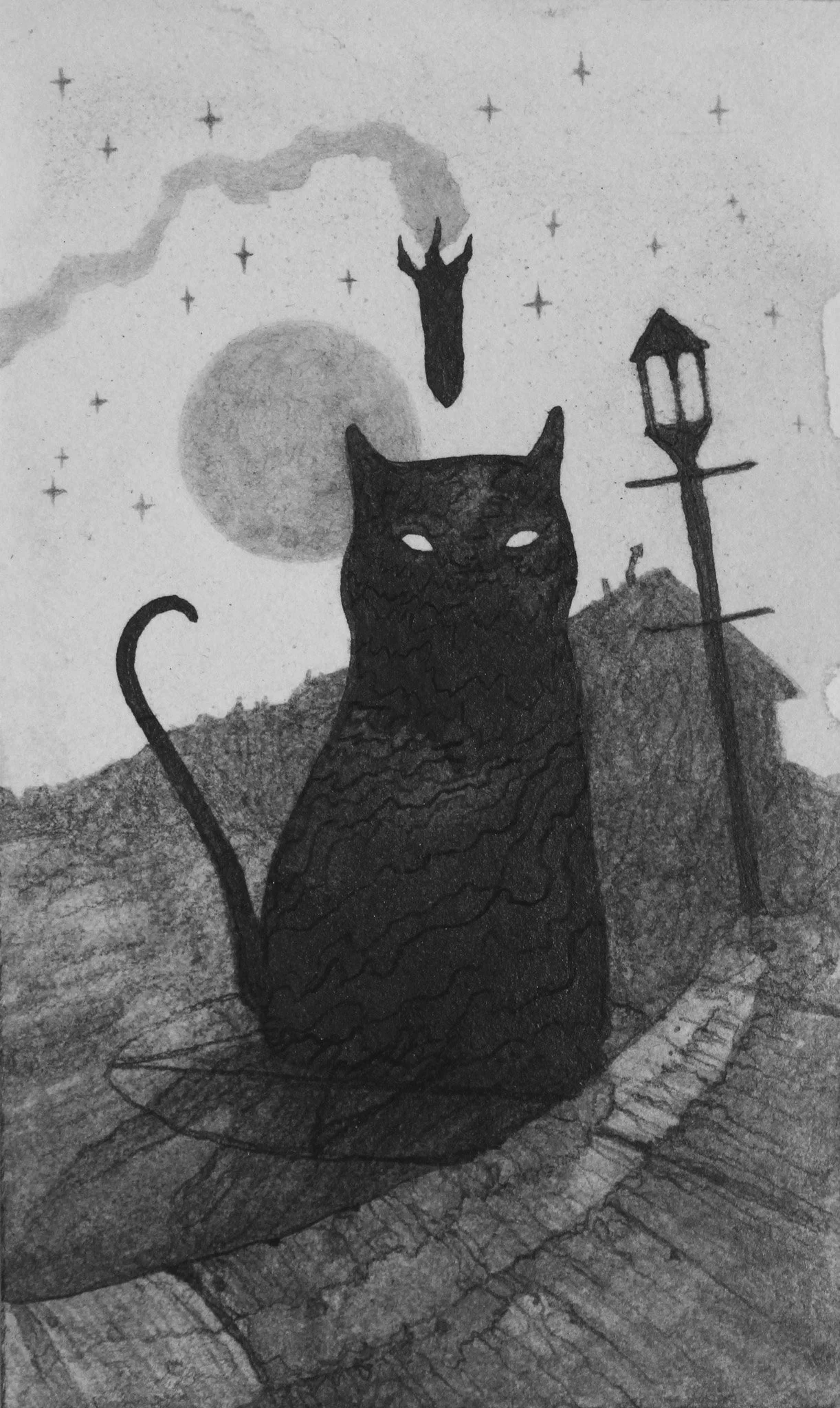 felis3.jpg
