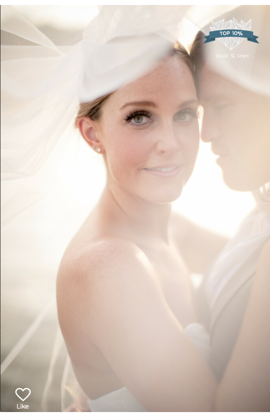 Screen Shot 2020-07-07 at 8.42.45 PM.png