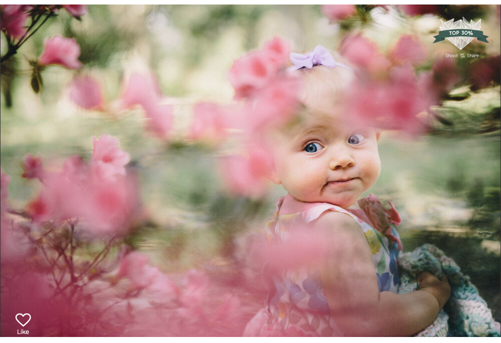 Screen Shot 2020-07-08 at 12.31.25 PM.png