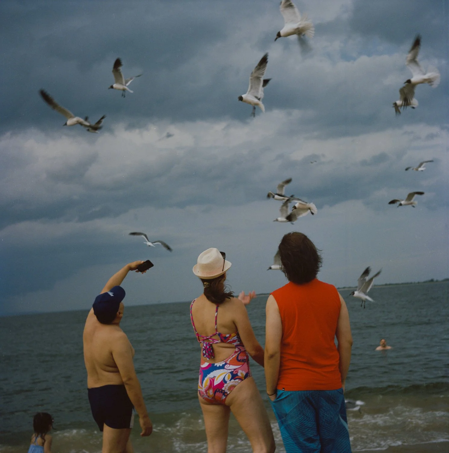 002--Brighton_Seagulls-ROLLEI_2023.jpg