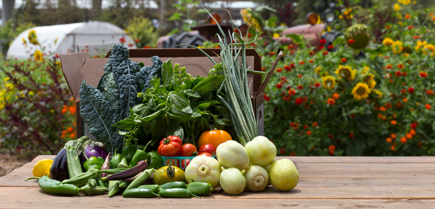 …the first essential component of social justice is adequate food for all mankind. Food is the moral right of all who are born into this world. -- Norman Borlaug