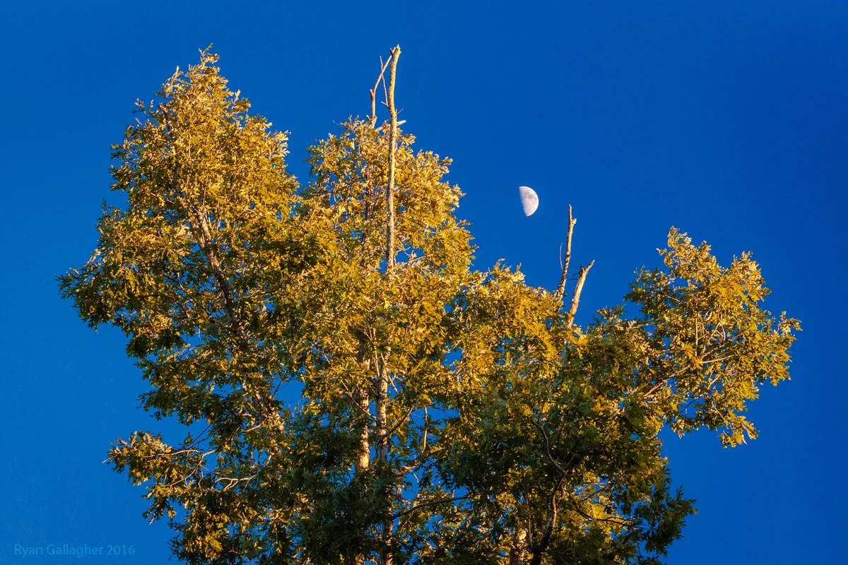_MG_5529-Edit-2.jpg