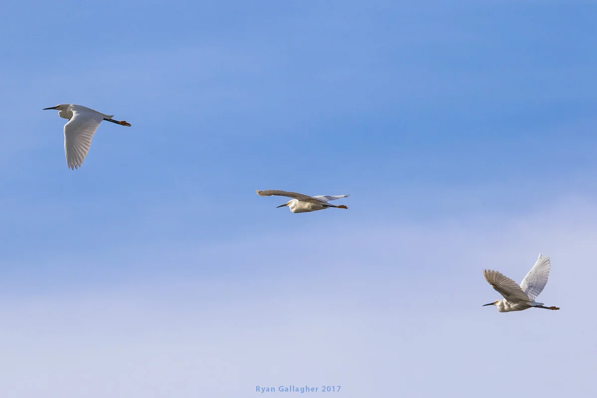 _P0A1365-2-Edit-Edit.jpg