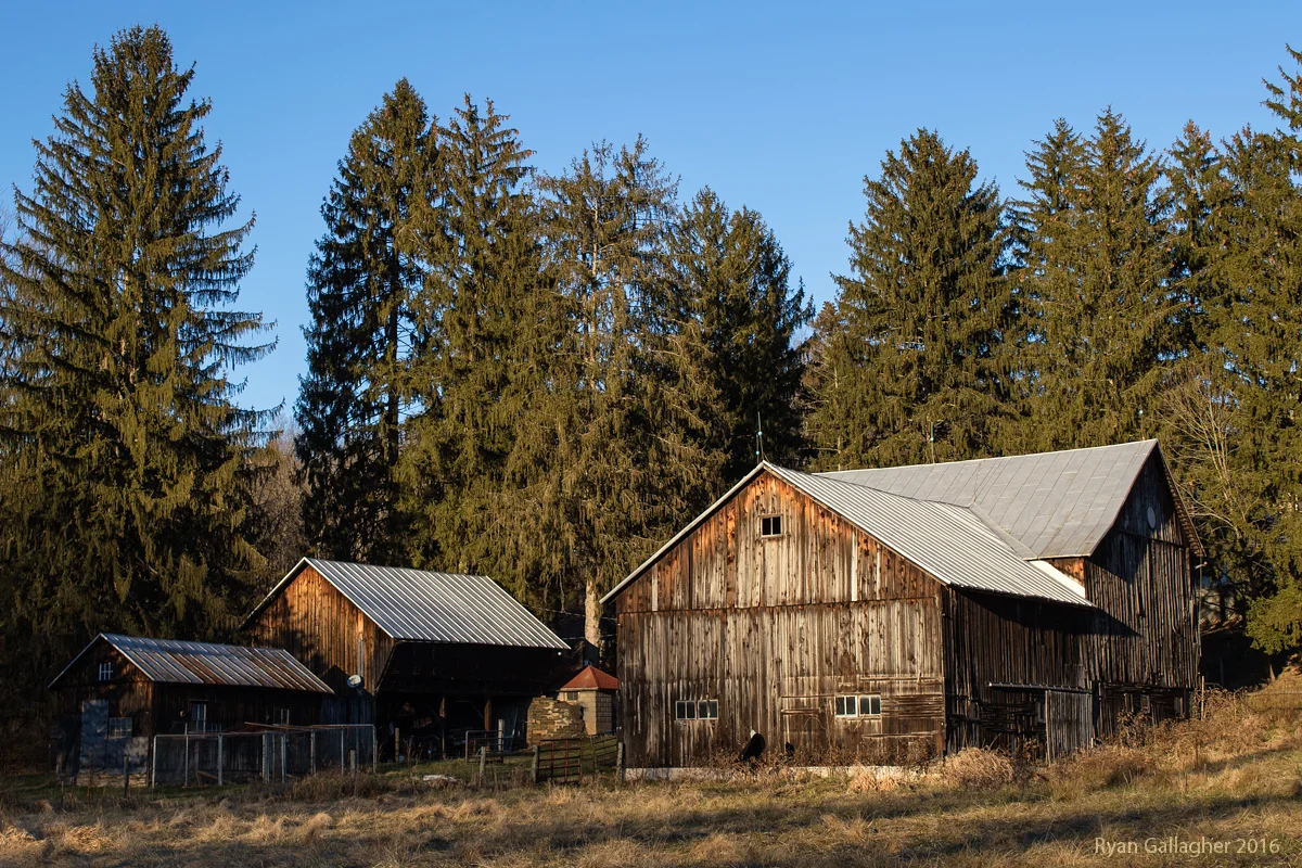 _P0A4081-Edit-2.jpg