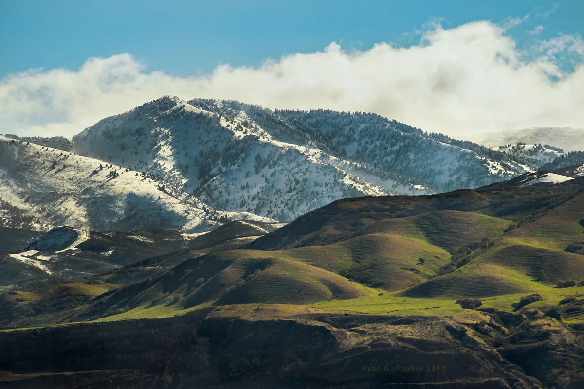 _P0A4422-Edit.jpg
