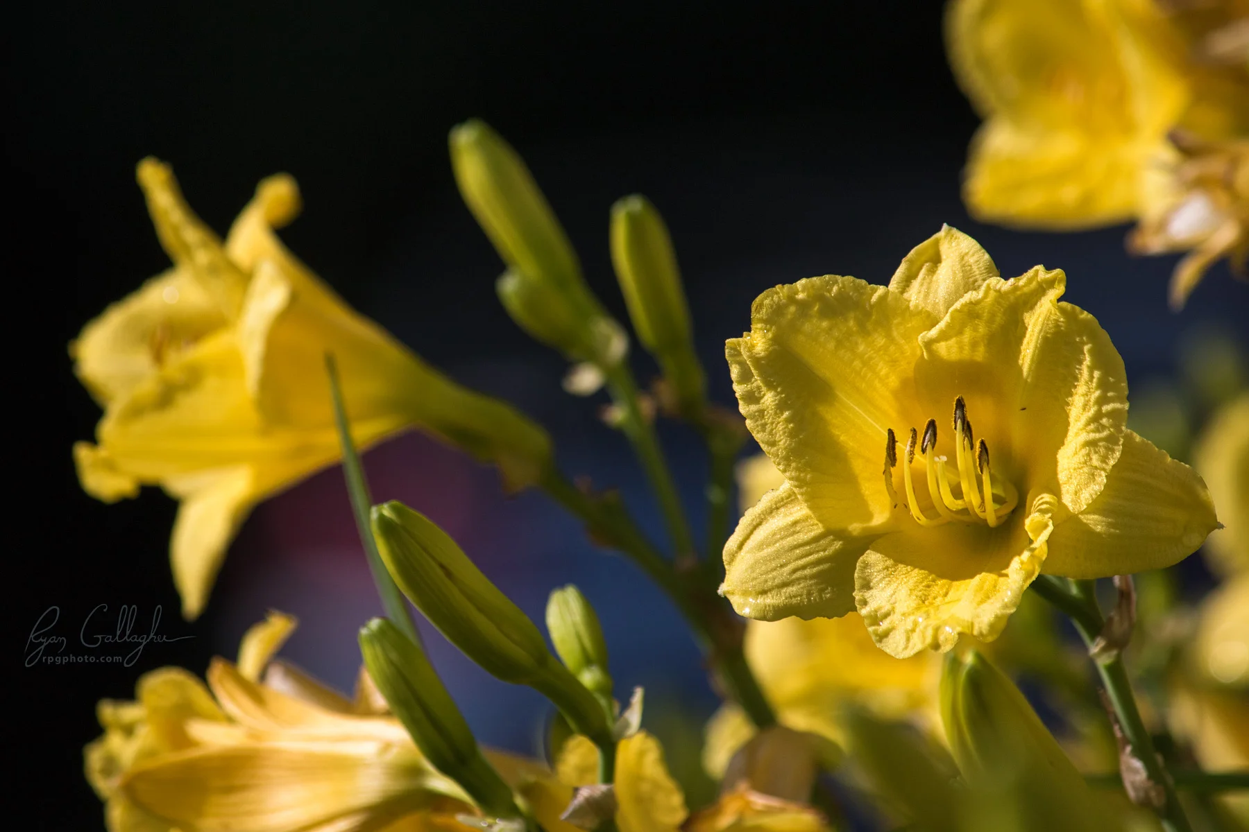 _P0A4773-Edit.jpg