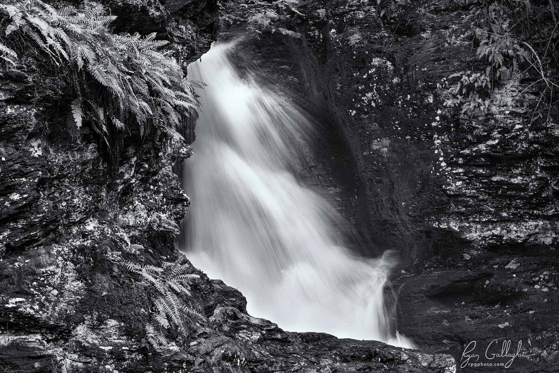 _P0A5866-Edit-Edit.jpg