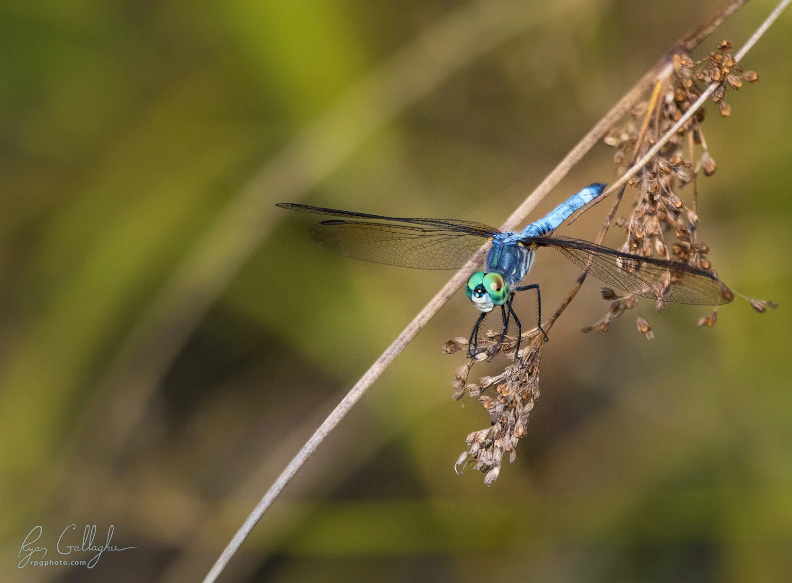 _P0A7837-Edit.jpg