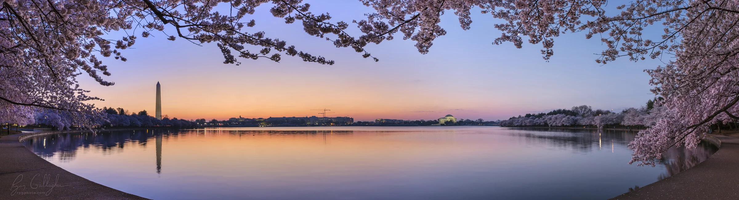 Dawn Cherry Blossoms at the Tidal Basin - Washington DC