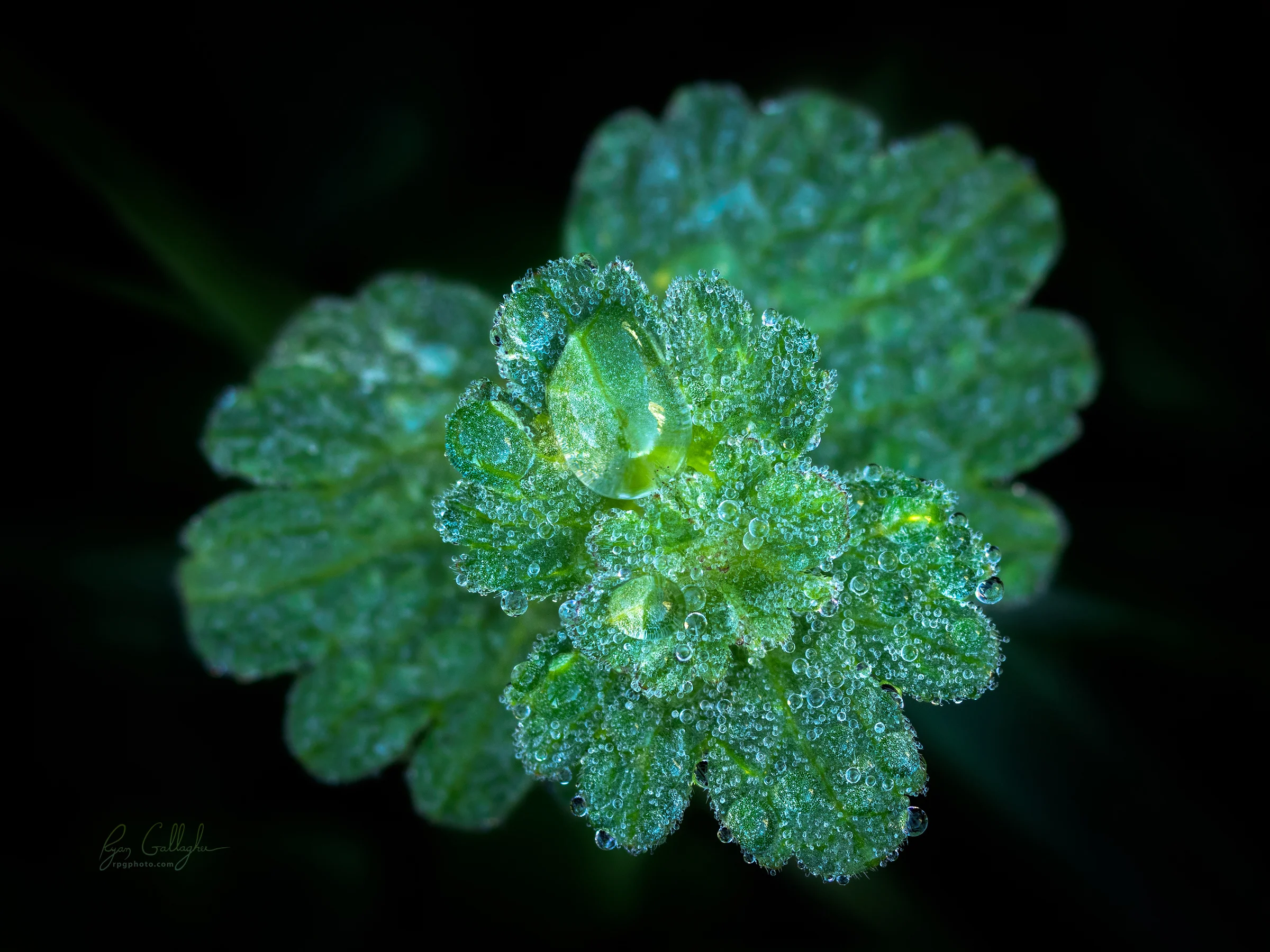  It can be still and reflective, rushing with strong currents or gently flowing over and around whatever sits in its way. 