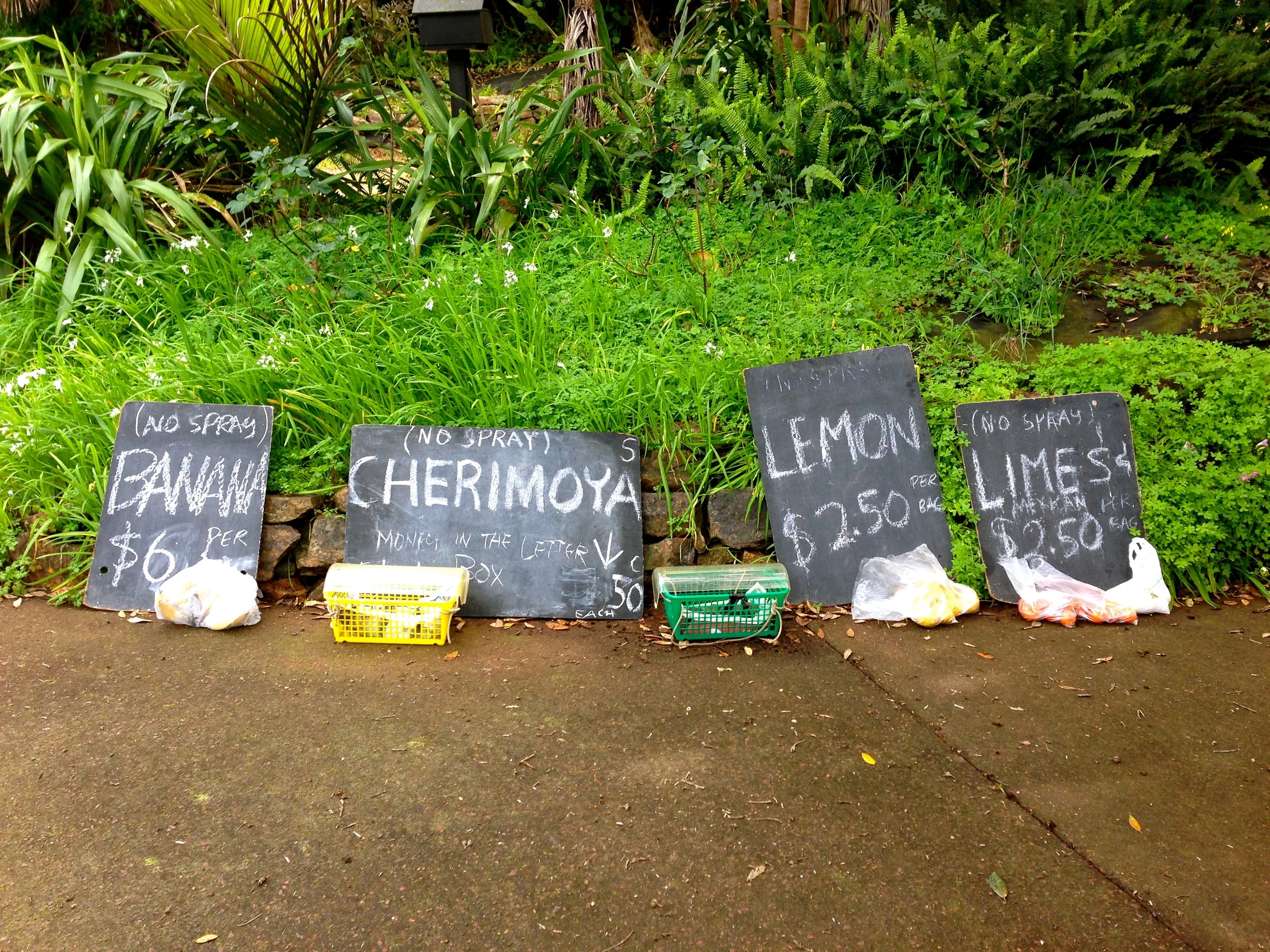 IMG_5492 - Version 2.JPG