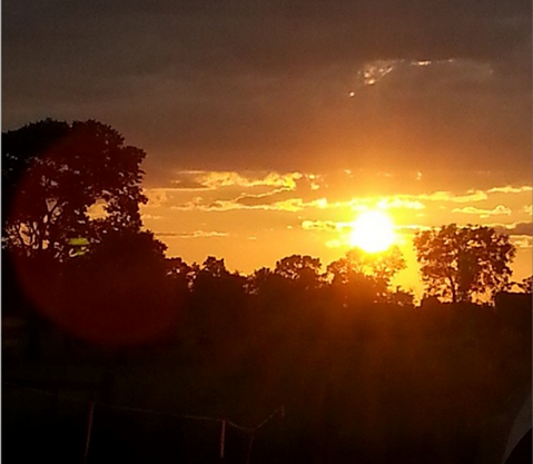 &nbsp; &nbsp; &nbsp; &nbsp; &nbsp; &nbsp; &nbsp; &nbsp; &nbsp; &nbsp; &nbsp; &nbsp; &nbsp; &nbsp; &nbsp; &nbsp; &nbsp; &nbsp; &nbsp; &nbsp; &nbsp; &nbsp; Sunset at Pasture Palooza Music Festival